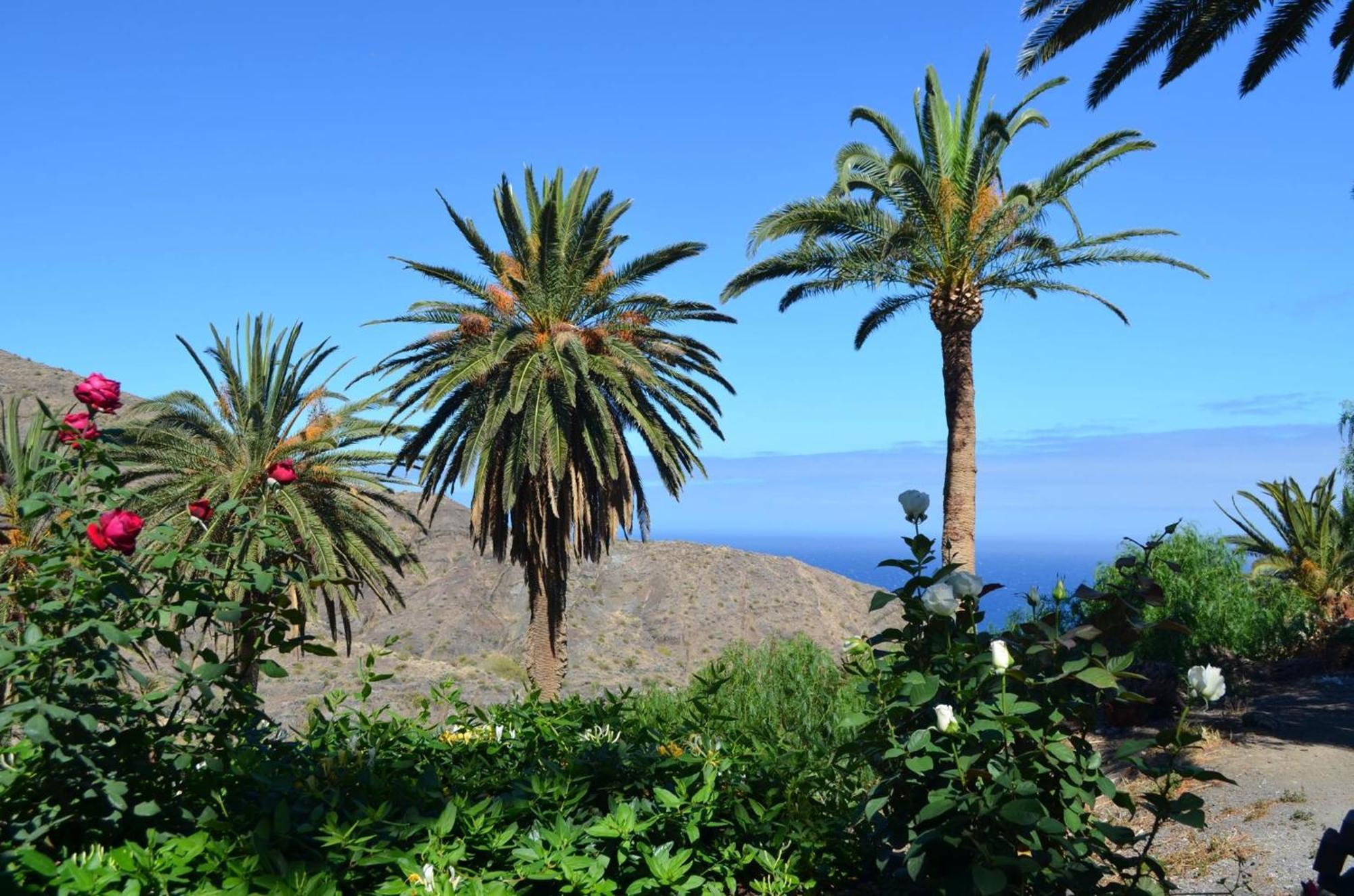 Finca Ossorio Casa Rita Vallehermoso Dış mekan fotoğraf